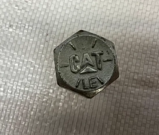 Picture of Bolt