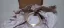 Picture of BUSHING