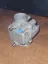 Picture of CARBURETOR ASSY