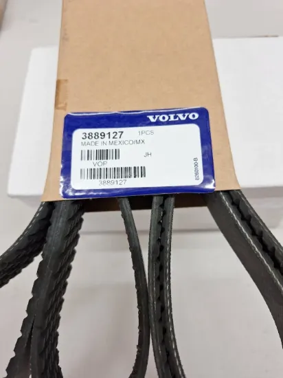 Picture of BELT
