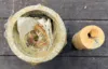 Picture of Piston Kit