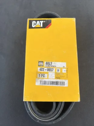 Picture of BELT