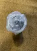 Picture of Oil Filter