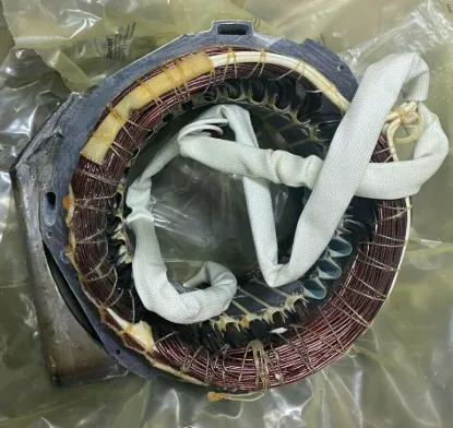 Picture of Wound Stator Assembly