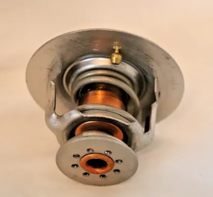 Picture of THERMOSTAT